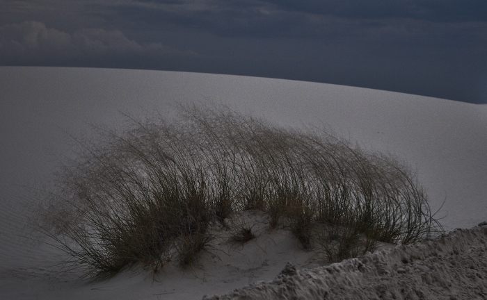 white dunes at night